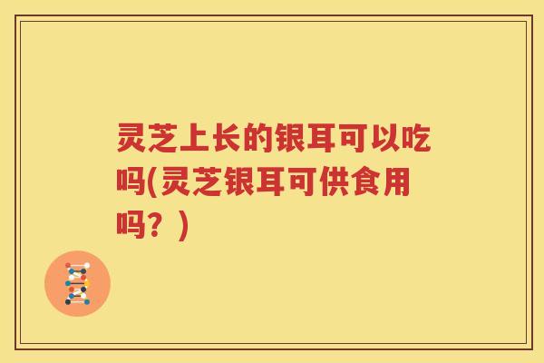灵芝上长的银耳可以吃吗(灵芝银耳可供食用吗？)