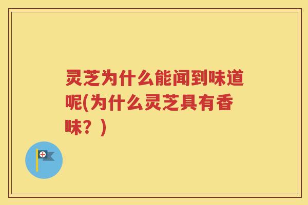 灵芝为什么能闻到味道呢(为什么灵芝具有香味？)