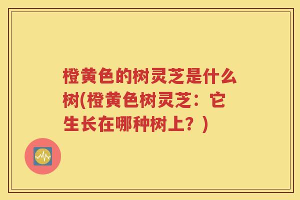 橙黄色的树灵芝是什么树(橙黄色树灵芝：它生长在哪种树上？)
