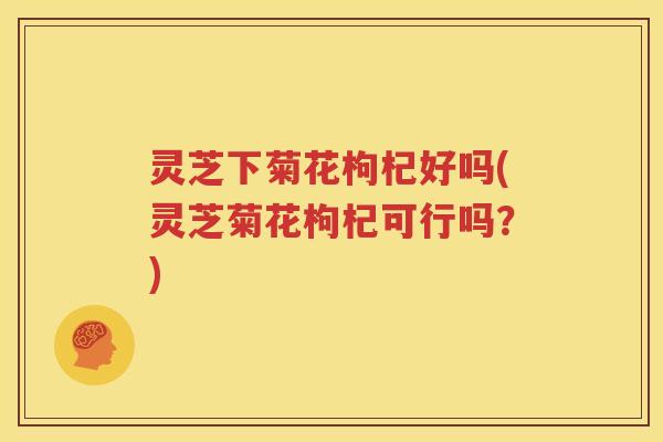 灵芝下菊花枸杞好吗(灵芝菊花枸杞可行吗？)