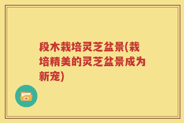 段木栽培灵芝盆景(栽培精美的灵芝盆景成为新宠)