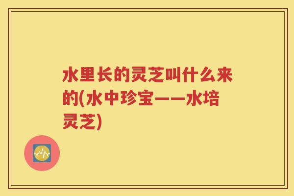 水里长的灵芝叫什么来的(水中珍宝——水培灵芝)