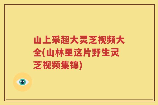 山上采超大灵芝视频大全(山林里这片野生灵芝视频集锦)