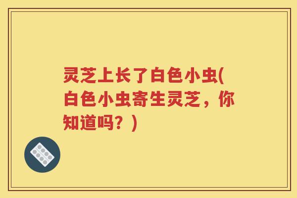灵芝上长了白色小虫(白色小虫寄生灵芝，你知道吗？)
