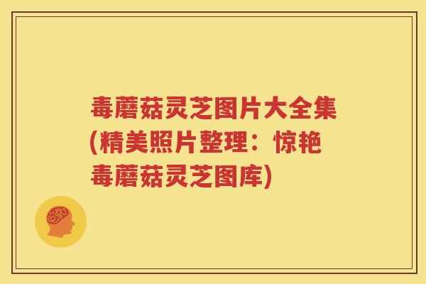 毒蘑菇灵芝图片大全集(精美照片整理：惊艳毒蘑菇灵芝图库)