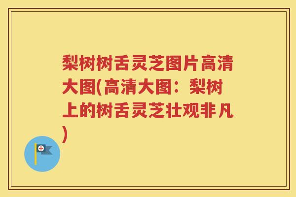 梨树树舌灵芝图片高清大图(高清大图：梨树上的树舌灵芝壮观非凡)