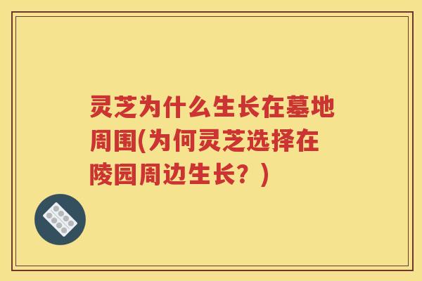 灵芝为什么生长在墓地周围(为何灵芝选择在陵园周边生长？)
