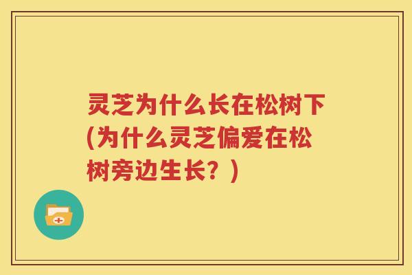 灵芝为什么长在松树下(为什么灵芝偏爱在松树旁边生长？)