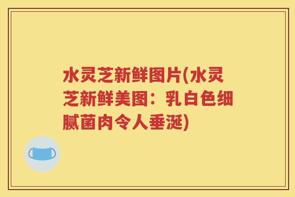 水灵芝新鲜图片(水灵芝新鲜美图：乳白色细腻菌肉令人垂涎)