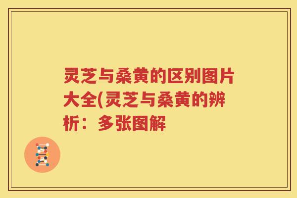 灵芝与桑黄的区别图片大全(灵芝与桑黄的辨析：多张图解