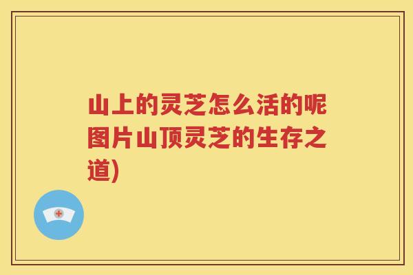 山上的灵芝怎么活的呢图片山顶灵芝的生存之道)