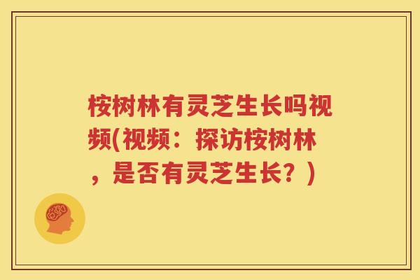 桉树林有灵芝生长吗视频(视频：探访桉树林，是否有灵芝生长？)