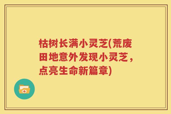 枯树长满小灵芝(荒废田地意外发现小灵芝，点亮生命新篇章)