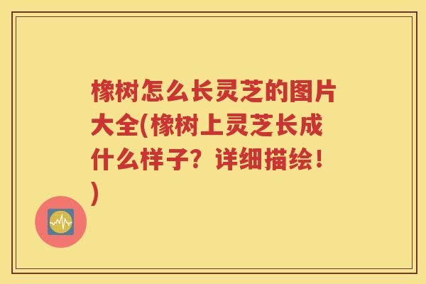 橡树怎么长灵芝的图片大全(橡树上灵芝长成什么样子？详细描绘！)