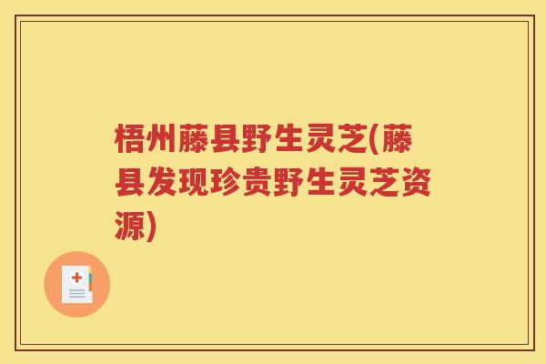 梧州藤县野生灵芝(藤县发现珍贵野生灵芝资源)