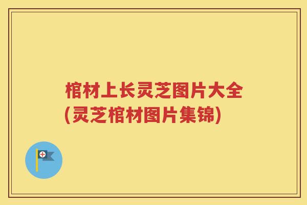 棺材上长灵芝图片大全(灵芝棺材图片集锦)