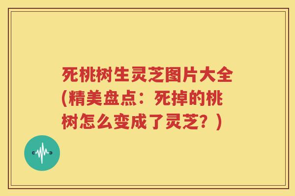 死桃树生灵芝图片大全(精美盘点：死掉的桃树怎么变成了灵芝？)