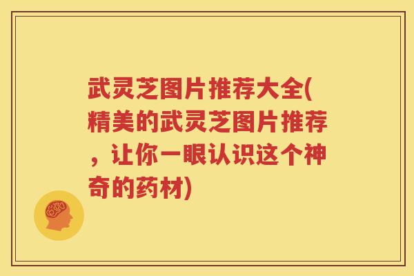 武灵芝图片推荐大全(精美的武灵芝图片推荐，让你一眼认识这个神奇的药材)
