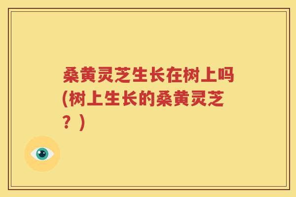 桑黄灵芝生长在树上吗(树上生长的桑黄灵芝？)