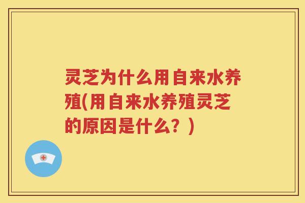 灵芝为什么用自来水养殖(用自来水养殖灵芝的原因是什么？)