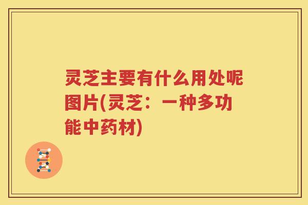灵芝主要有什么用处呢图片(灵芝：一种多功能中药材)