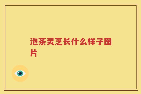 泡茶灵芝长什么样子图片