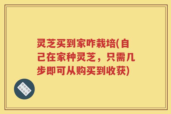 灵芝买到家咋栽培(自己在家种灵芝，只需几步即可从购买到收获)