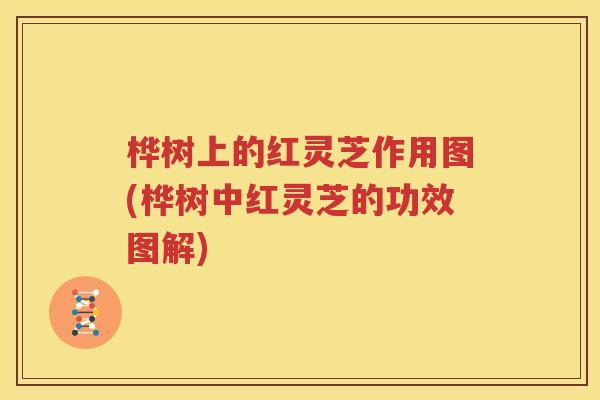 桦树上的红灵芝作用图(桦树中红灵芝的功效图解)