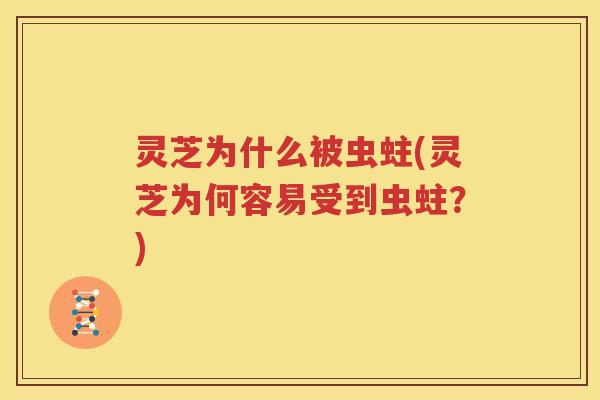 灵芝为什么被虫蛀(灵芝为何容易受到虫蛀？)
