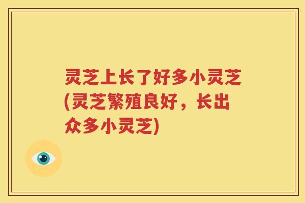 灵芝上长了好多小灵芝(灵芝繁殖良好，长出众多小灵芝)