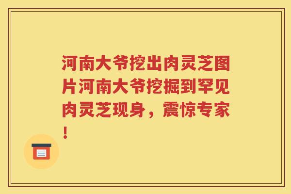 河南大爷挖出肉灵芝图片河南大爷挖掘到罕见肉灵芝现身，震惊专家！