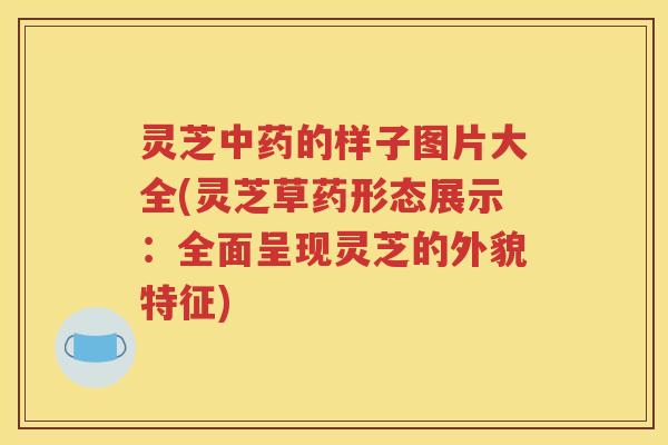 灵芝中药的样子图片大全(灵芝草药形态展示：全面呈现灵芝的外貌特征)
