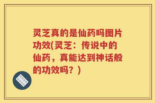 灵芝真的是仙药吗图片功效(灵芝：传说中的仙药，真能达到神话般的功效吗？)