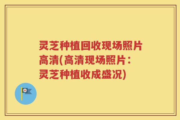 灵芝种植回收现场照片高清(高清现场照片：灵芝种植收成盛况)