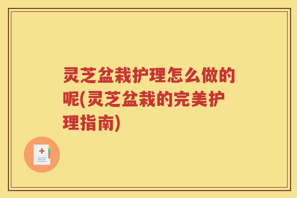 灵芝盆栽护理怎么做的呢(灵芝盆栽的完美护理指南)