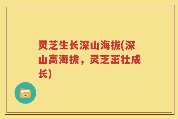 灵芝生长深山海拔(深山高海拔，灵芝茁壮成长)