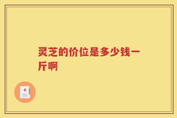 灵芝的价位是多少钱一斤啊