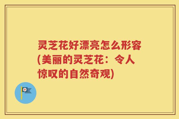 灵芝花好漂亮怎么形容(美丽的灵芝花：令人惊叹的自然奇观)