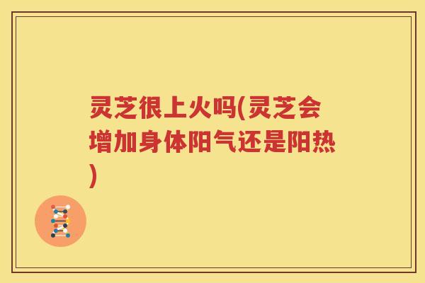 灵芝很上火吗(灵芝会增加身体阳气还是阳热)