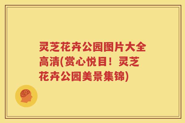 灵芝花卉公园图片大全高清(赏心悦目！灵芝花卉公园美景集锦)