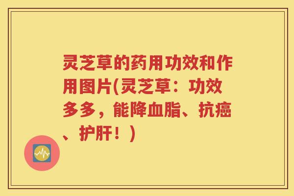 灵芝草的药用功效和作用图片(灵芝草：功效多多，能降血脂、抗癌、护肝！)