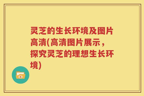 灵芝的生长环境及图片高清(高清图片展示，探究灵芝的理想生长环境)