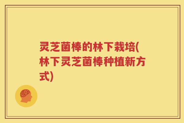 灵芝菌棒的林下栽培(林下灵芝菌棒种植新方式)