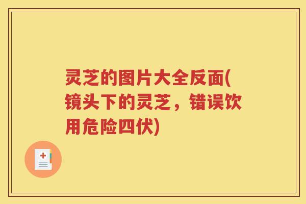 灵芝的图片大全反面(镜头下的灵芝，错误饮用危险四伏)