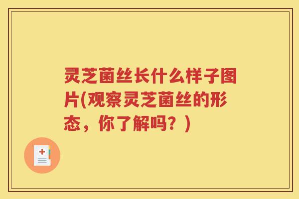 灵芝菌丝长什么样子图片(观察灵芝菌丝的形态，你了解吗？)