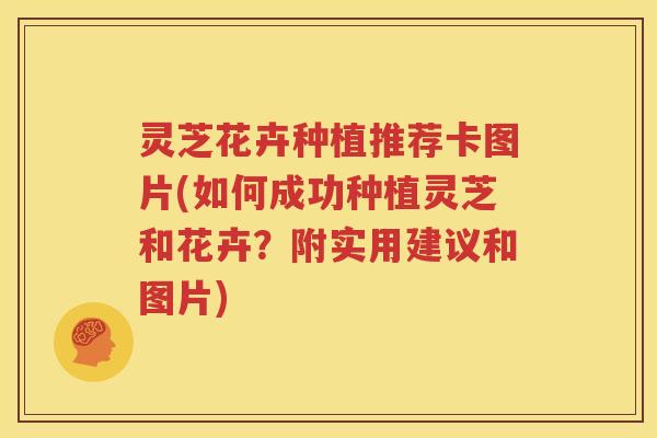 灵芝花卉种植推荐卡图片(如何成功种植灵芝和花卉？附实用建议和图片)