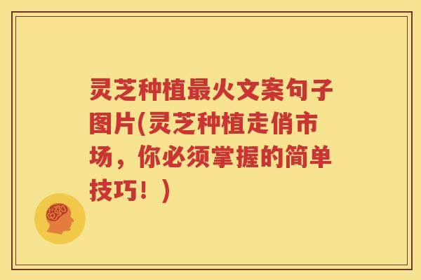 灵芝种植最火文案句子图片(灵芝种植走俏市场，你必须掌握的简单技巧！)