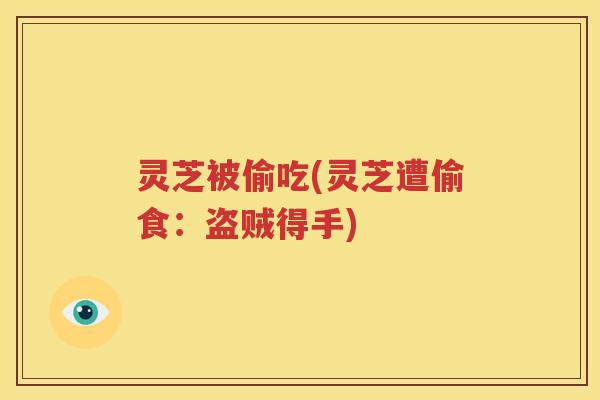 灵芝被偷吃(灵芝遭偷食：盗贼得手)
