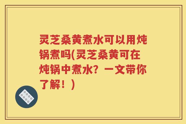 灵芝桑黄煮水可以用炖锅煮吗(灵芝桑黄可在炖锅中煮水？一文带你了解！)