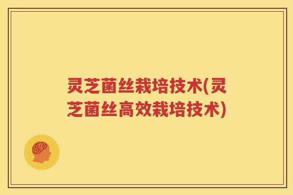 灵芝菌丝栽培技术(灵芝菌丝高效栽培技术)